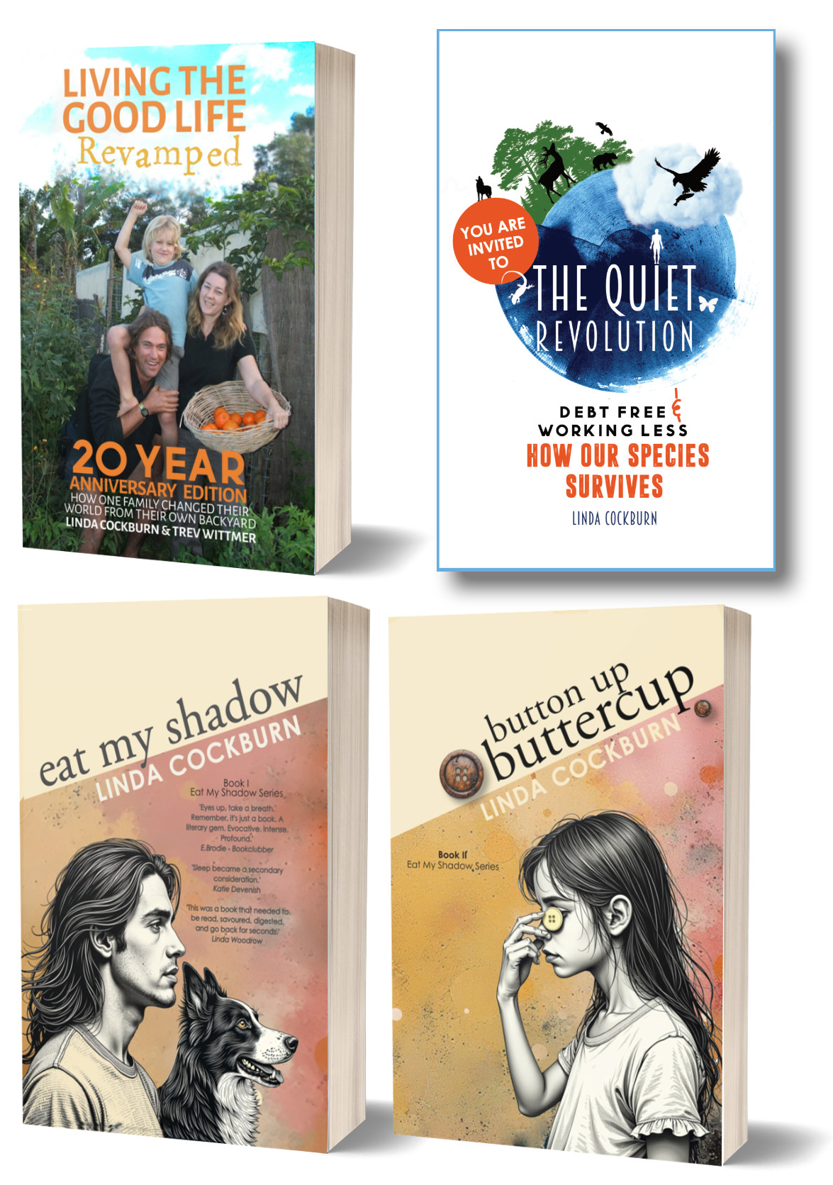 All 4 Books! Short Term Special