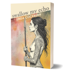 Swallow My Echo - Book III - Paperback
